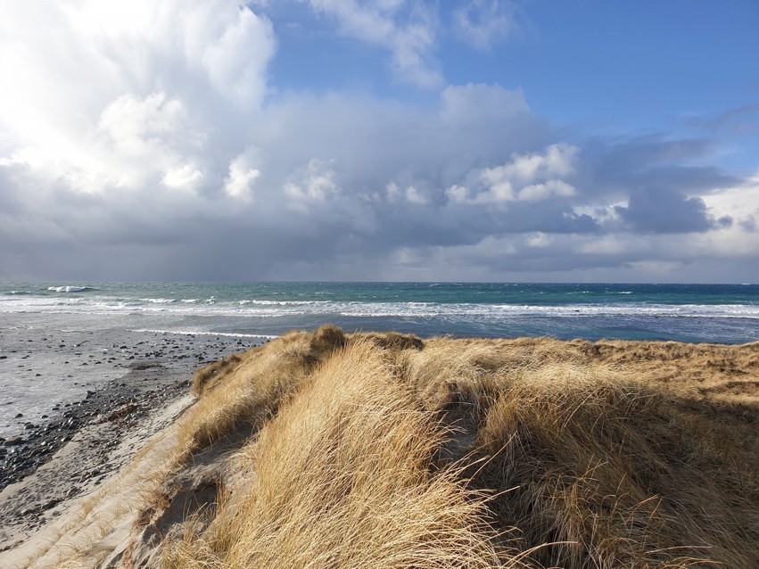 Medlemsinfo nr. 2 2026