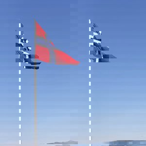 Markering av frigjørings- og veterandagen 8. mai