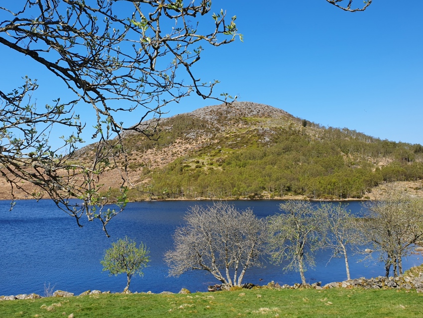  Turglade - tur fra Gramstad med lunsj 11. juni
